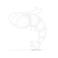 Posture