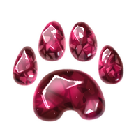 Paw Points
